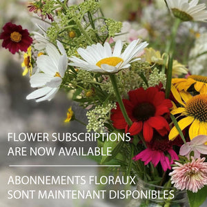 Flower Bouquet Subscription
